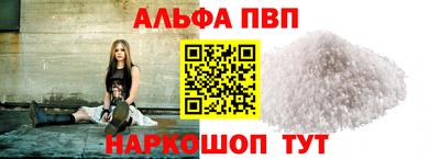 стаф Кингисепп
