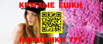 стаф Кингисепп