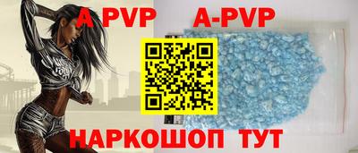 стаф Кингисепп