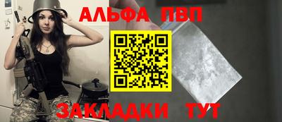 стаф Кингисепп