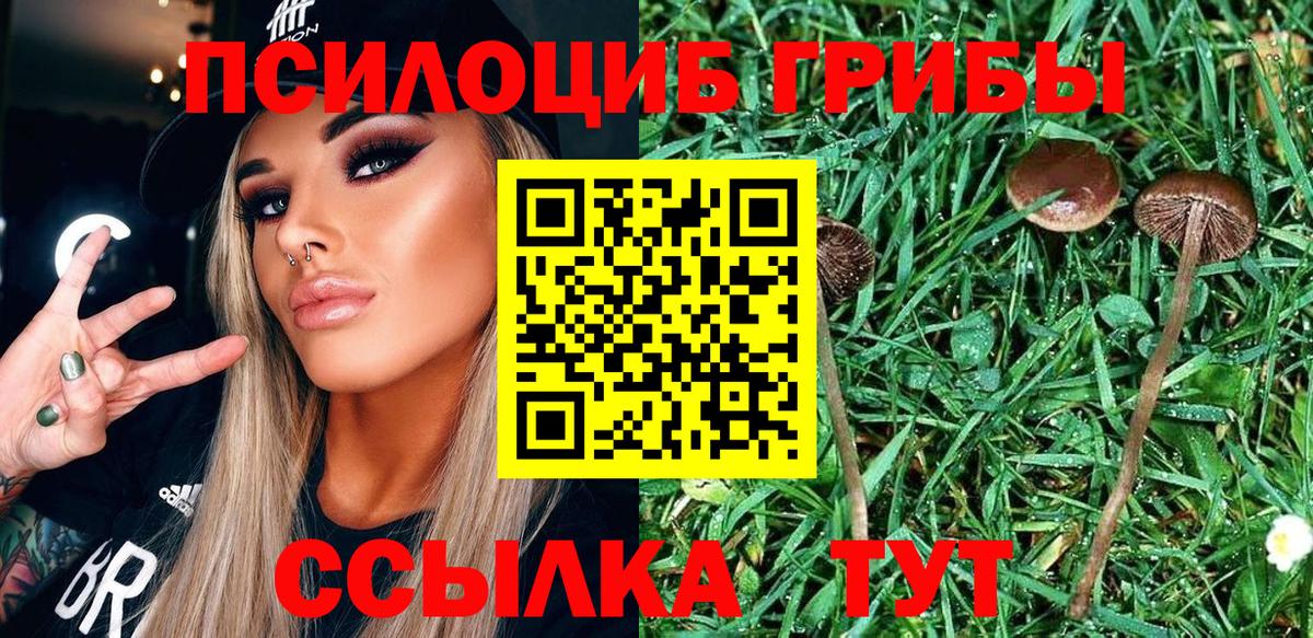 Армавир  Галлюциногенные грибы ЛСД  Вход с VPN 